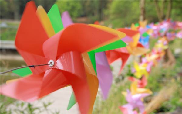 IMG_5925.jpg IMG_5925.jpg