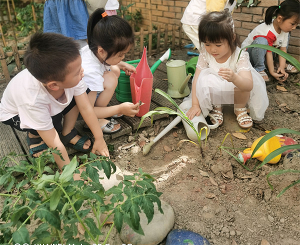 8种植玉米8_副本.jpg