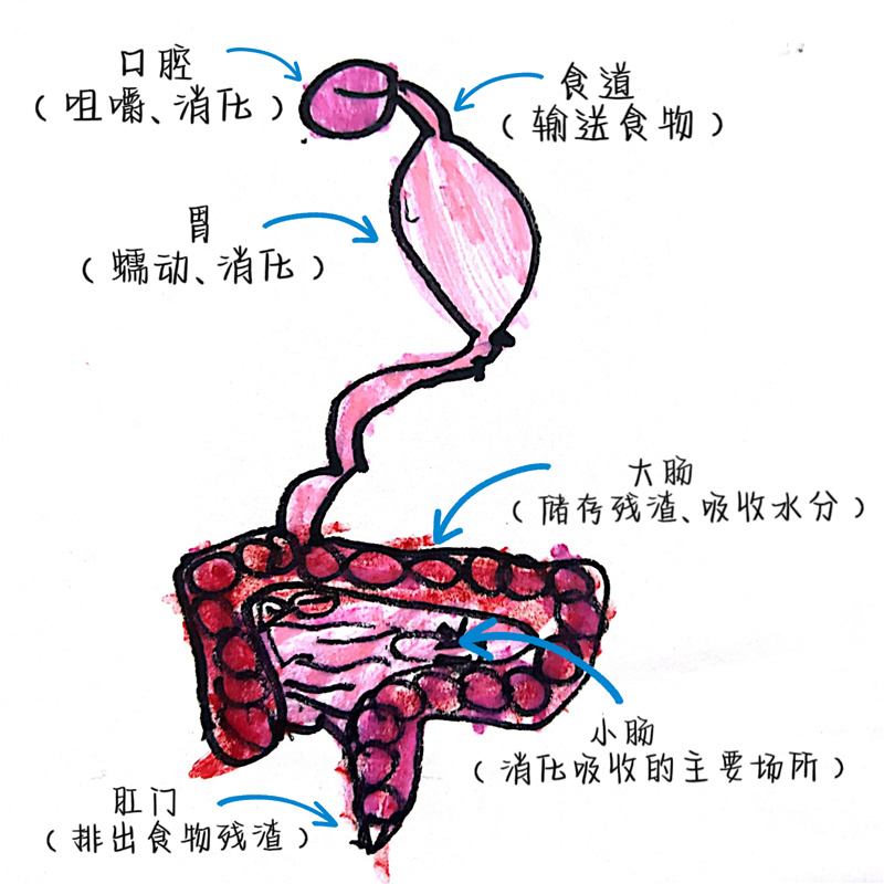 微信图片_20221109191334.jpg