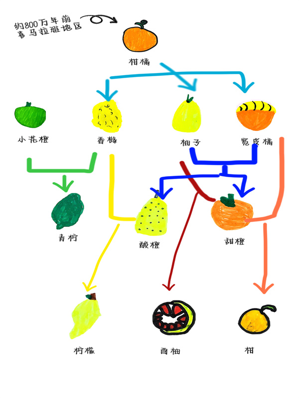 微信图片_20240111214605.jpg