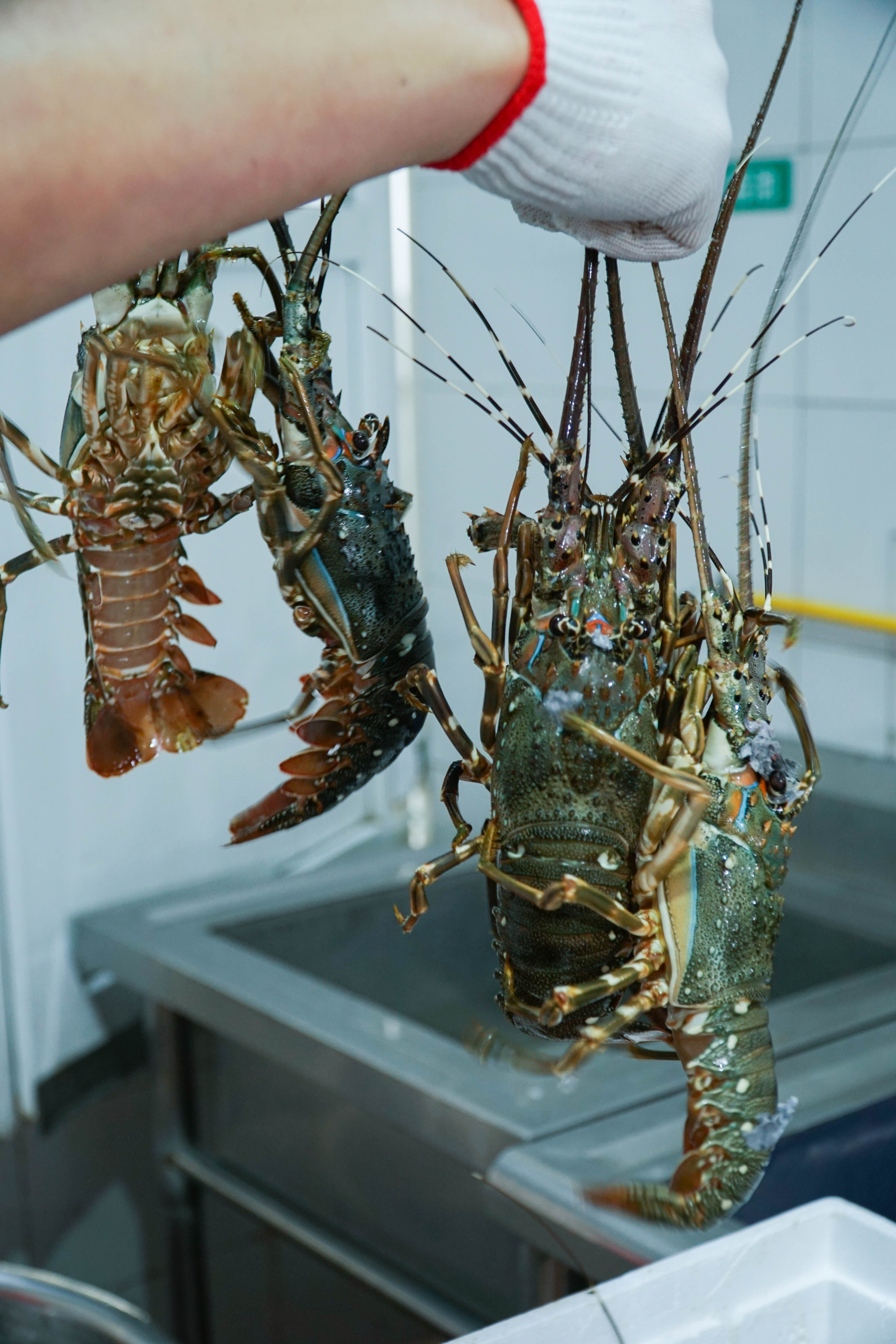 DSC08689.jpg DSC08689.jpg