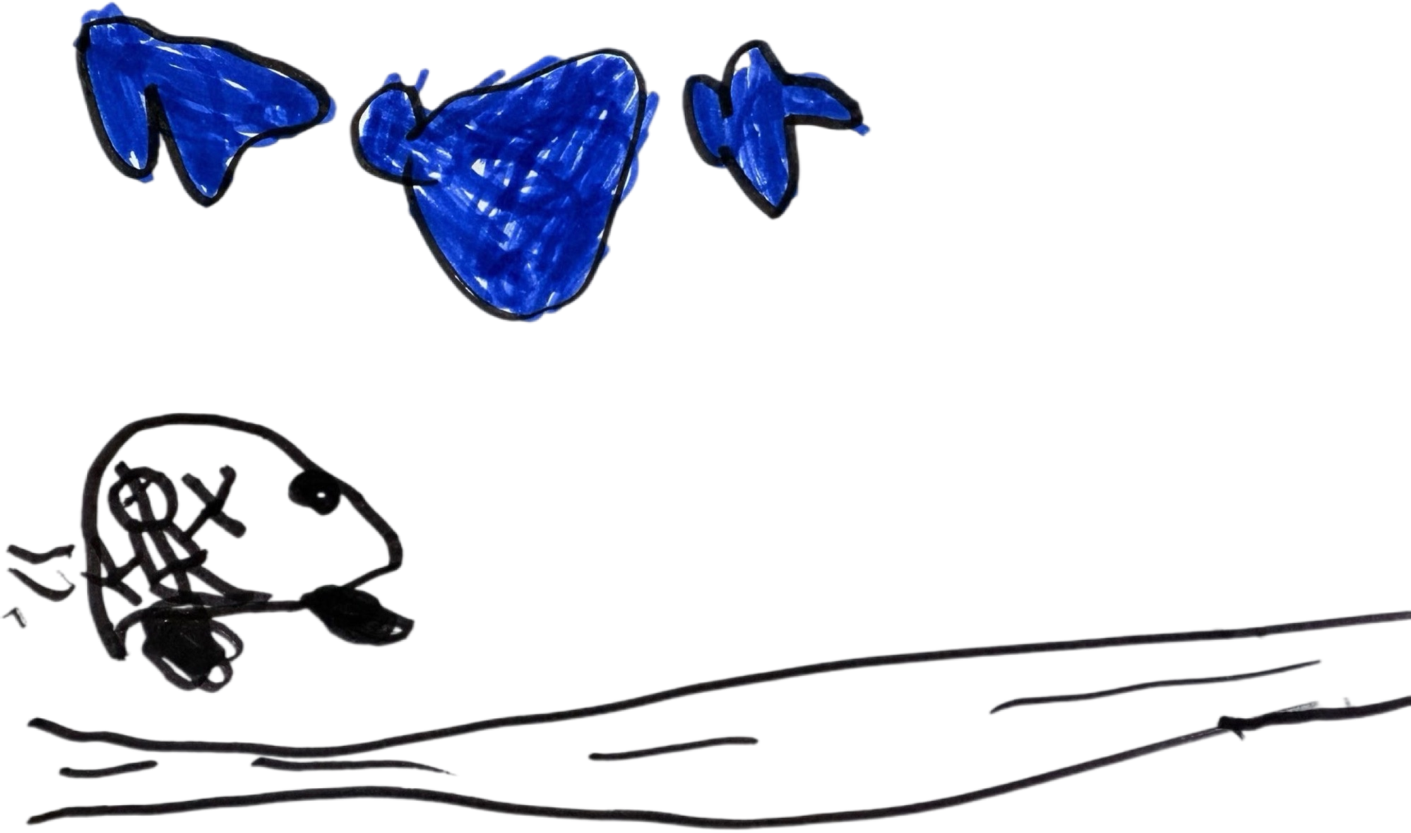 IMG_9899.PNG
